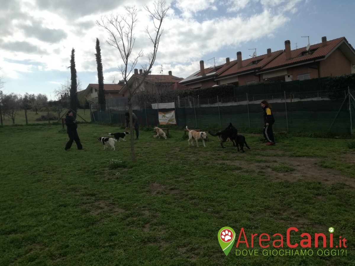 Area Cani Roma - Manu Dog Camp (a pagamento)