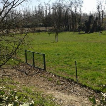 Area Cani Cremona - via Argine Panizza