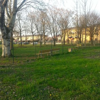 Area Cani San Giorgio di Mantova - via P. Togliatti