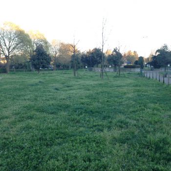 Area Cani San Donato Milanese - via Unica Poasco