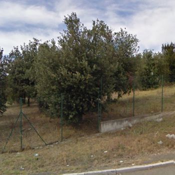 Area Cani Furci - via Stingi