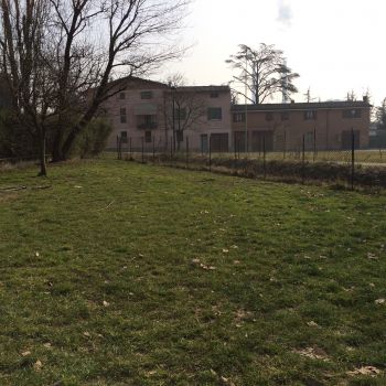 Area Cani Brescia - Parco Zorat