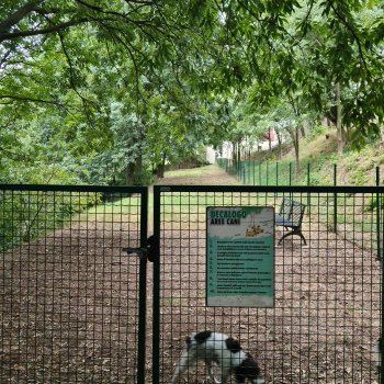Area Cani Volta Mantovana - I Giardini
