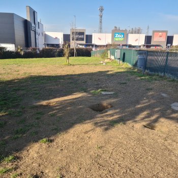 Area Cani Cremona - Roger Dog Area