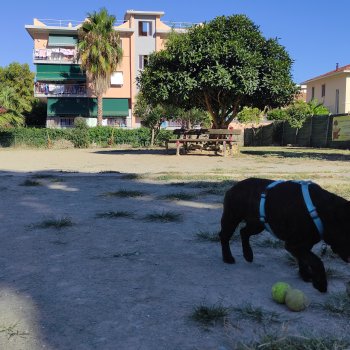 Area Cani Bordighera - Via Giovanni Falcone Paolo Borsellino e Scorte