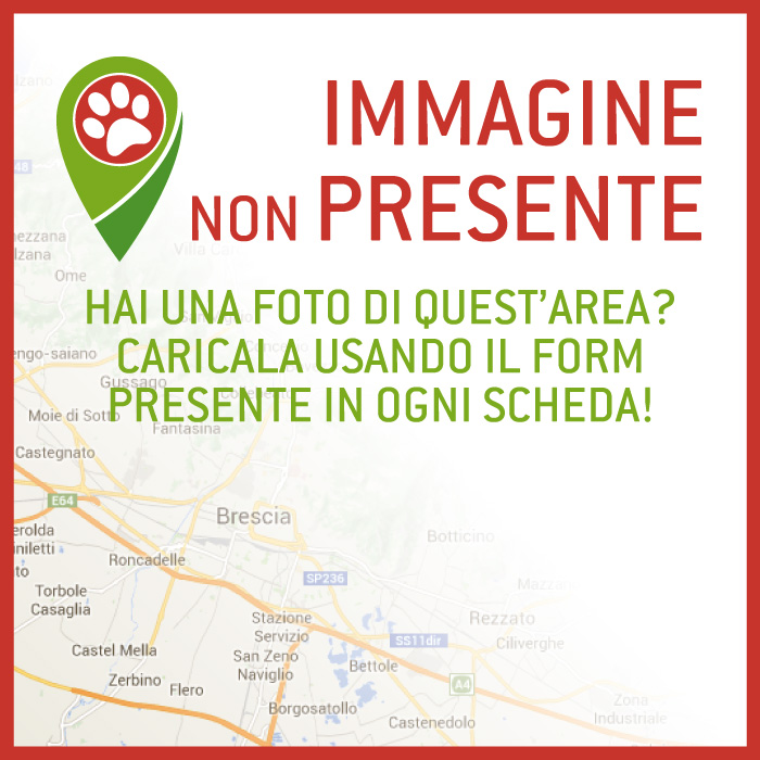 Area Cani Flero - via Bulgherini